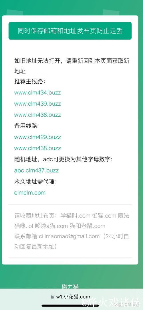 深入探索：磁力猫搜索入口使用指南