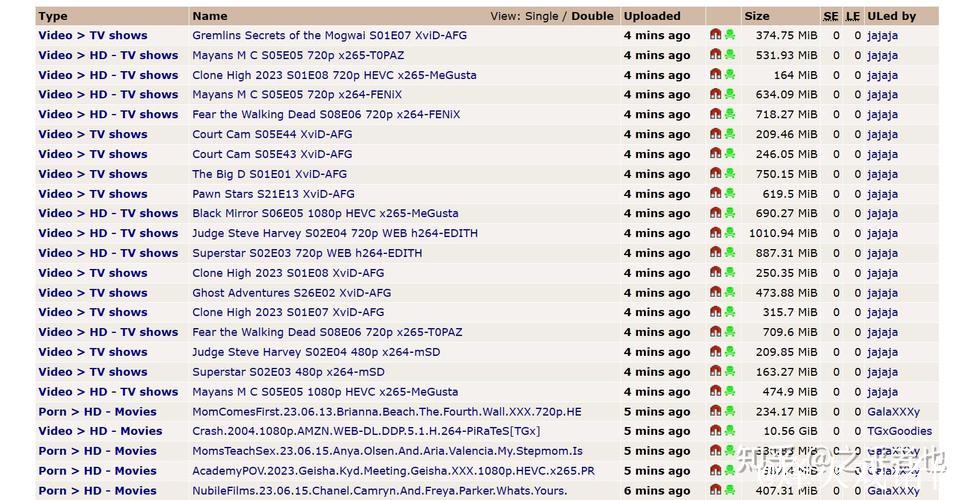磁力搜索资源全网追踪指南